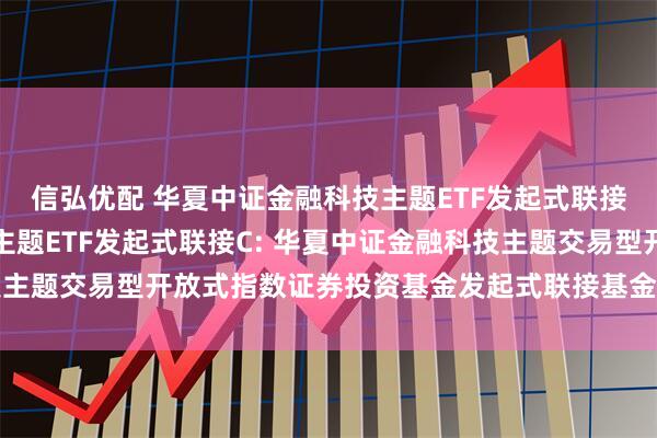 信弘优配 华夏中证金融科技主题ETF发起式联接A,华夏中证金融科技主题ETF发起式联接C: 华夏中证金融科技主题交易型开放式指数证券投资基金发起式联接基金基金合同生效公告