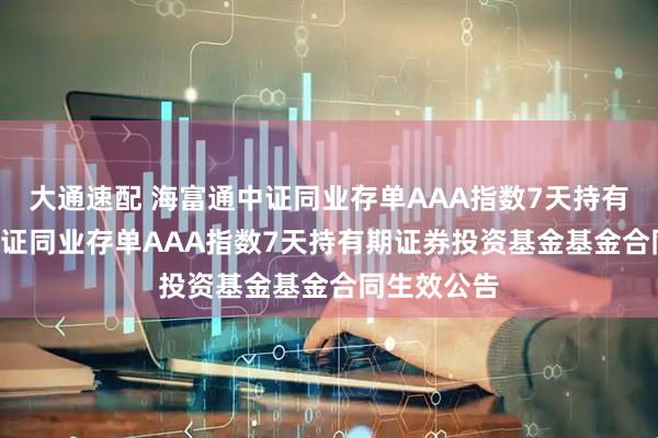 大通速配 海富通中证同业存单AAA指数7天持有: 海富通中证同业存单AAA指数7天持有期证券投资基金基金合同生效公告