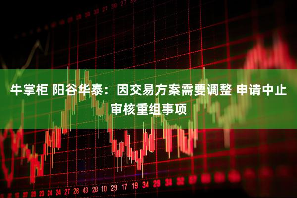 牛掌柜 阳谷华泰：因交易方案需要调整 申请中止审核重组事项
