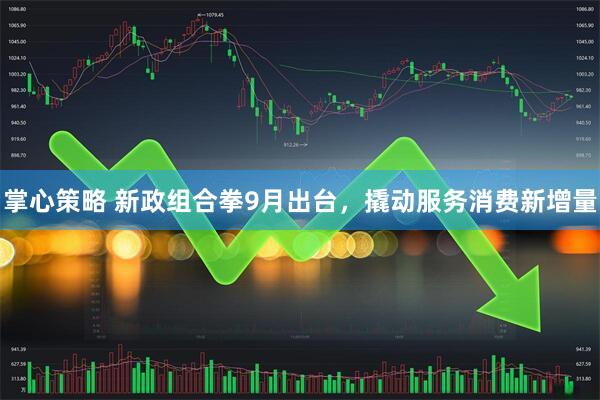 掌心策略 新政组合拳9月出台，撬动服务消费新增量