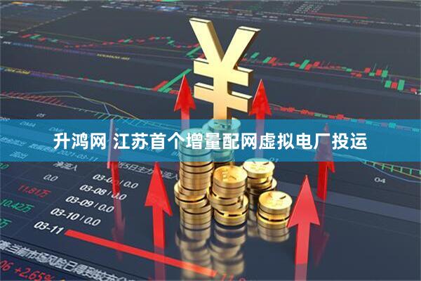 升鸿网 江苏首个增量配网虚拟电厂投运